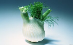 版本管理
