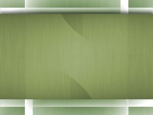 版本管理